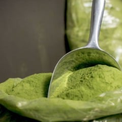 Moringa: ingrediente natural combate anemia e ferro baixo (Foto: Reprodução/Canva)