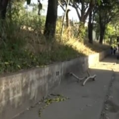motociclista morre ao bater em mureta