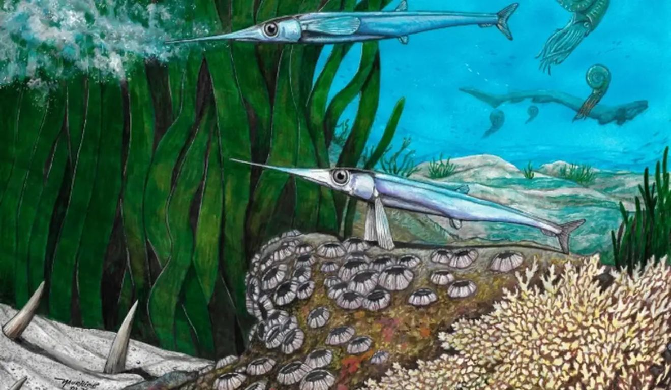 peixe pré-histórico