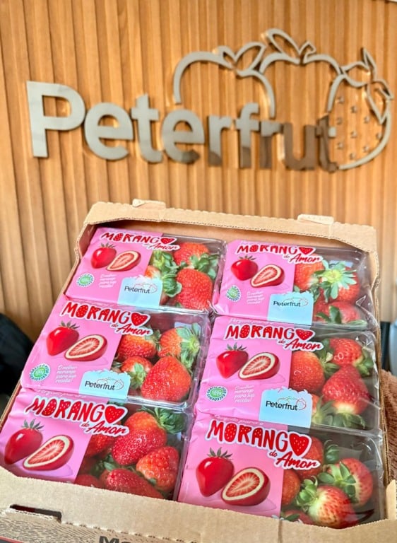Maior produtora de morangos do Brasil, capixaba Peterfrut vai lançar produto inspirado no Morango do Amor