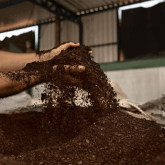 Borra de café vira biometano!          