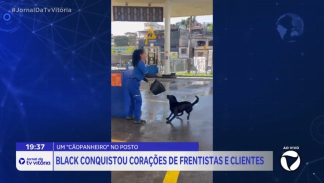 Cachorro Black conquista coração de clientes em posto de combustível