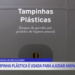 Campanha arrecada recicláveis para castração de animais
