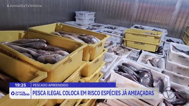 Mais de 7 toneladas de pescado irregular são apreendidas