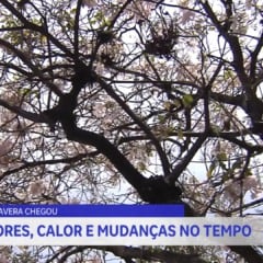 Primavera deve ter calor acima da média e chuvas