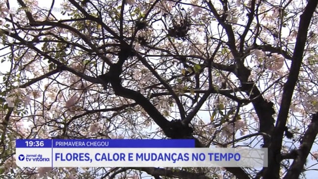 Primavera deve ter calor acima da média e chuvas
