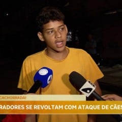 Cachorros soltos em Alvorada atacam moradores e geram revolta