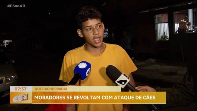 Cachorros soltos em Alvorada atacam moradores e geram revolta
