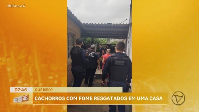 Cães em estado de abandono são resgatados em Cariacica