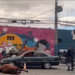 Foto: Reprodução / TV Vitória