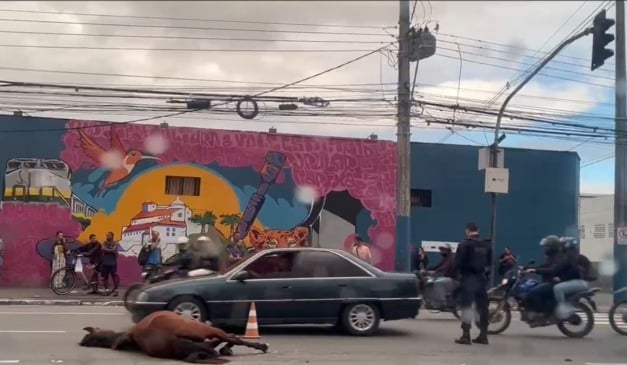 Foto: Reprodução / TV Vitória