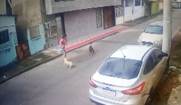 Foto: Câmera de segurança/ Reprodução