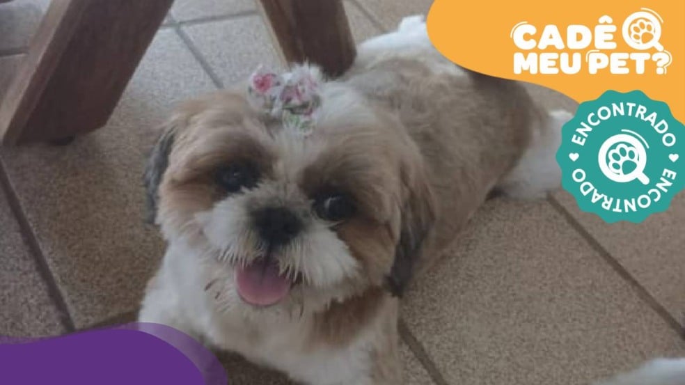Pérola é encontrada! (Foto: arquivo pessoal)