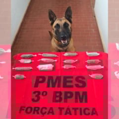 Foto: Divulgação/PMES