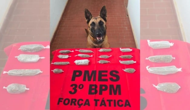 Foto: Divulgação/PMES