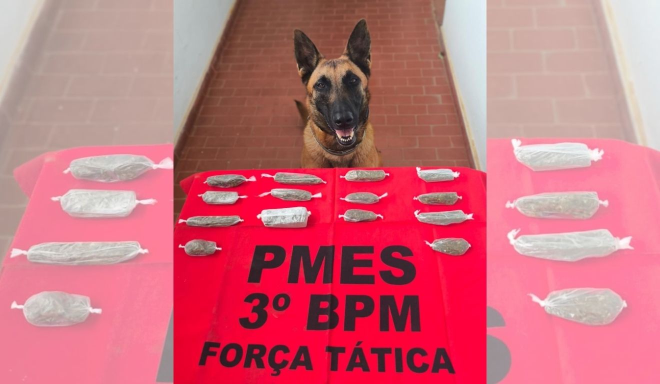 Foto: Divulgação/PMES