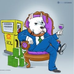 Pitbull trocou de lado