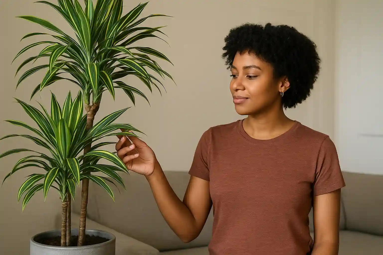 Dracena 7 variedades para escolher e decorar seu espaço