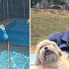 Piscineiro salva cachorro de afogamento (Foto/reprodução: Instagram)