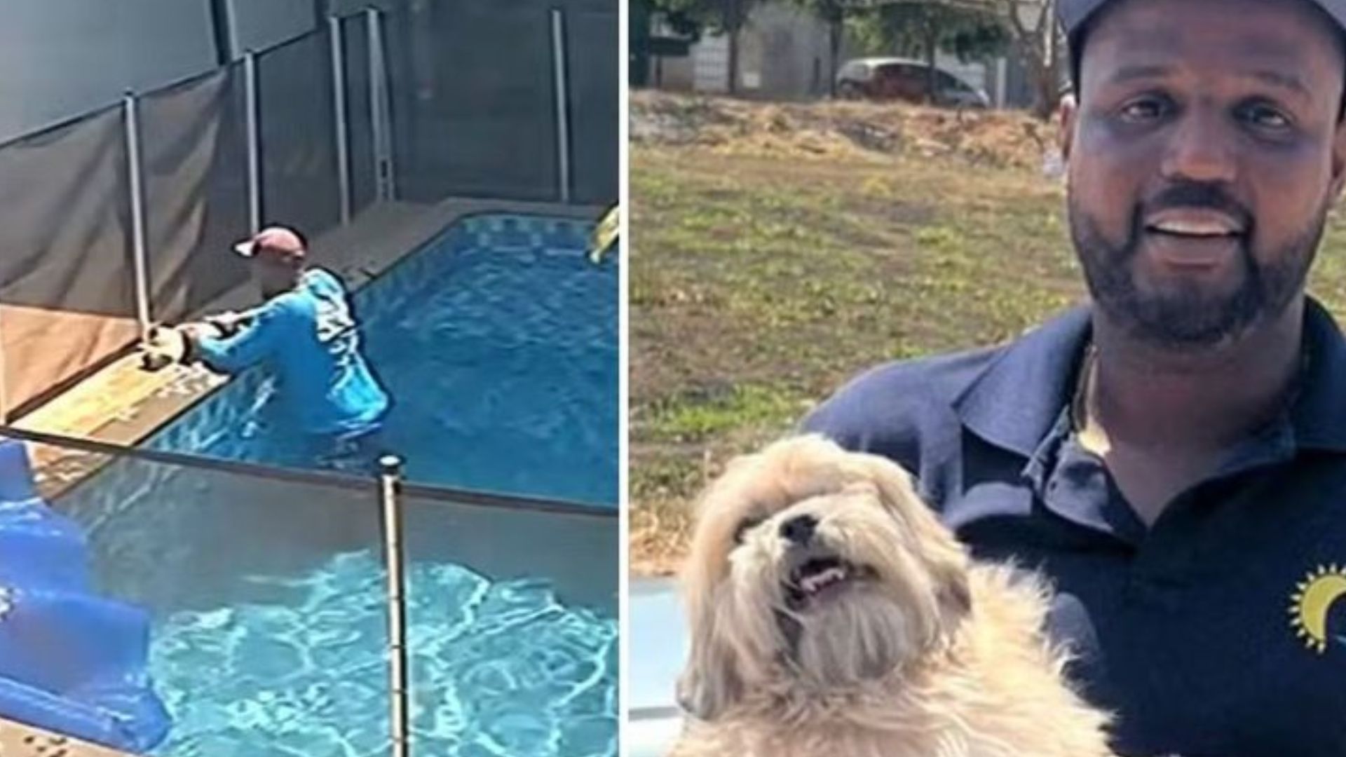 Piscineiro salva cachorro de afogamento (Foto/reprodução: Instagram)