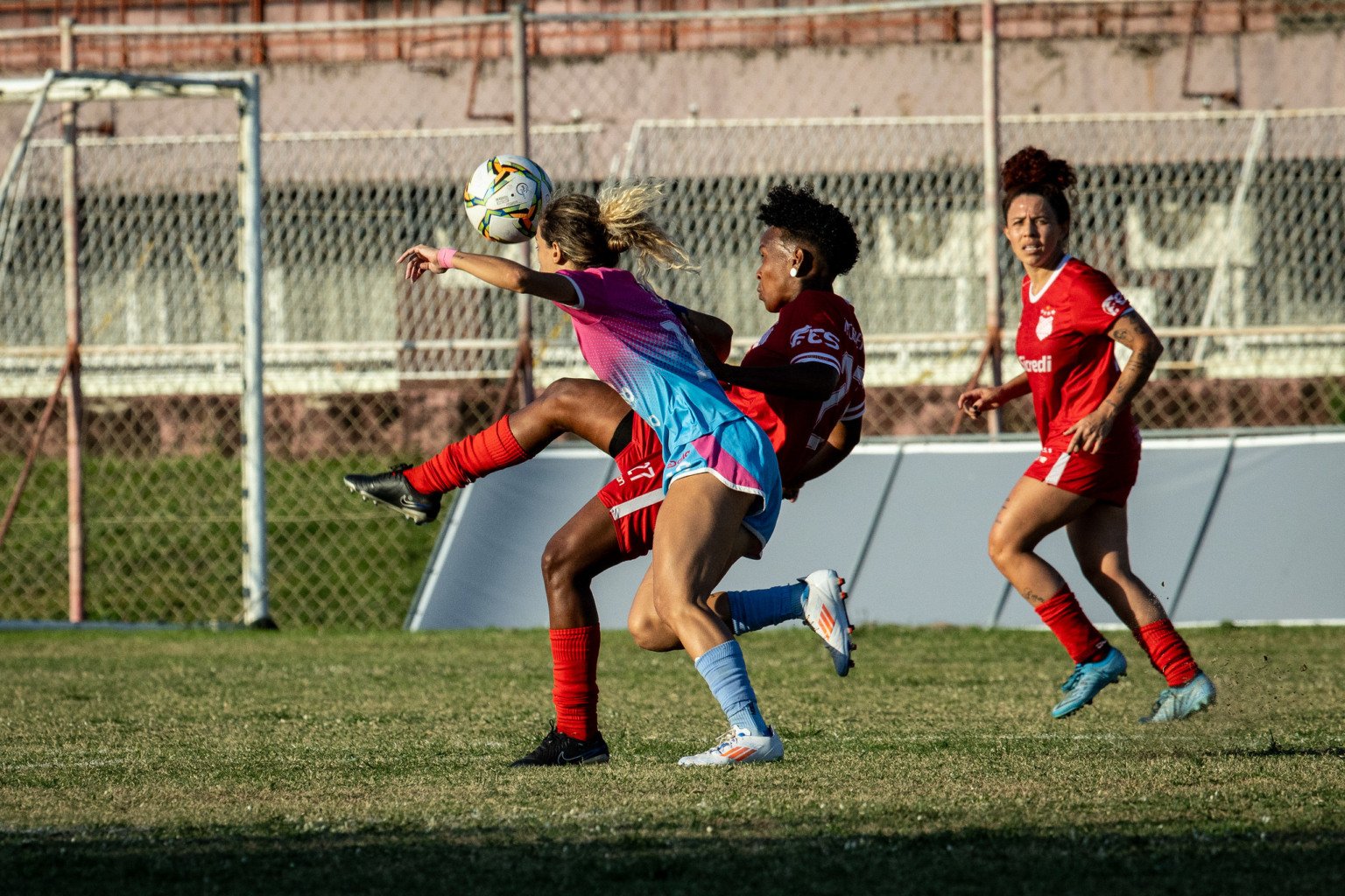 (Foto: Henrique Montovanelli/FES)