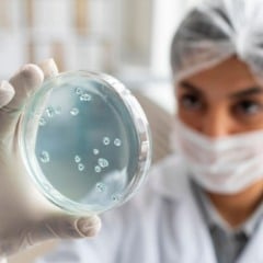 Fungo preocupa a Europa