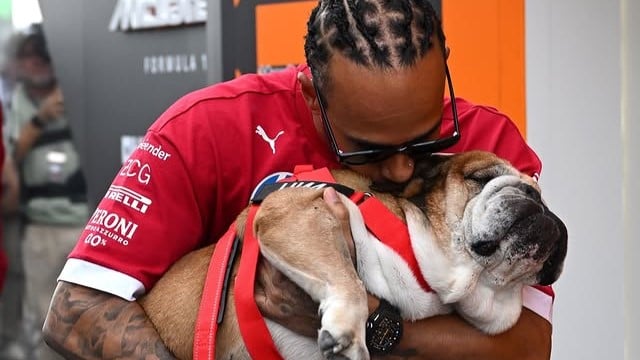 Lewis Hamilton com Roscoe.