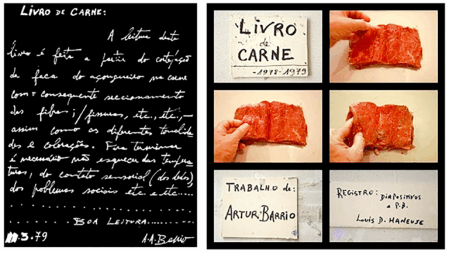 Artur Barrio - "Livro de Carne", 1978-79.
https://acervolivrodeartista.blogspot.com/2012/09/arthur-barrio-livro-de-carne.html