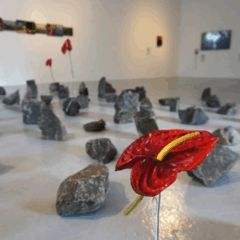 Imagem da exposição Lições de Pedra, FAMA Museu, Itu, SP. Créditos da artista.
