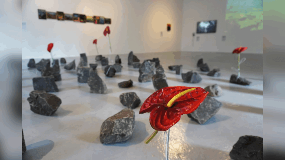 Imagem da exposição Lições de Pedra, FAMA Museu, Itu, SP. Créditos da artista.