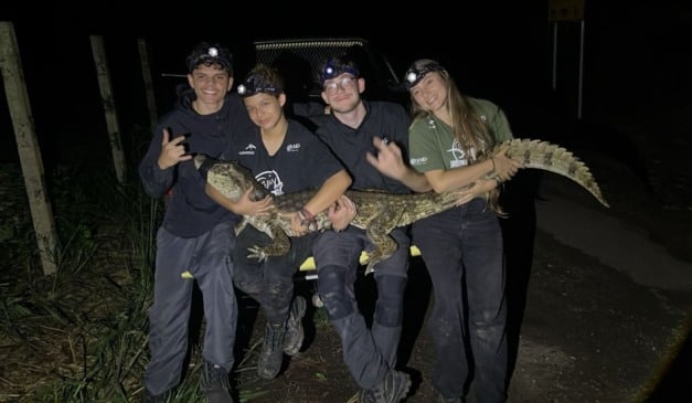 Reprodução/Projeto Caiman