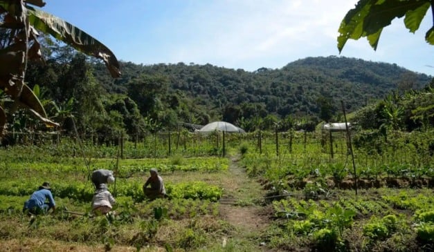 Objetivo, segundo governo, é proporcionar condições mais favoráveis para que agricultores endividados regularizem pendências. Crédito: Reprodução/ Agência Brasil