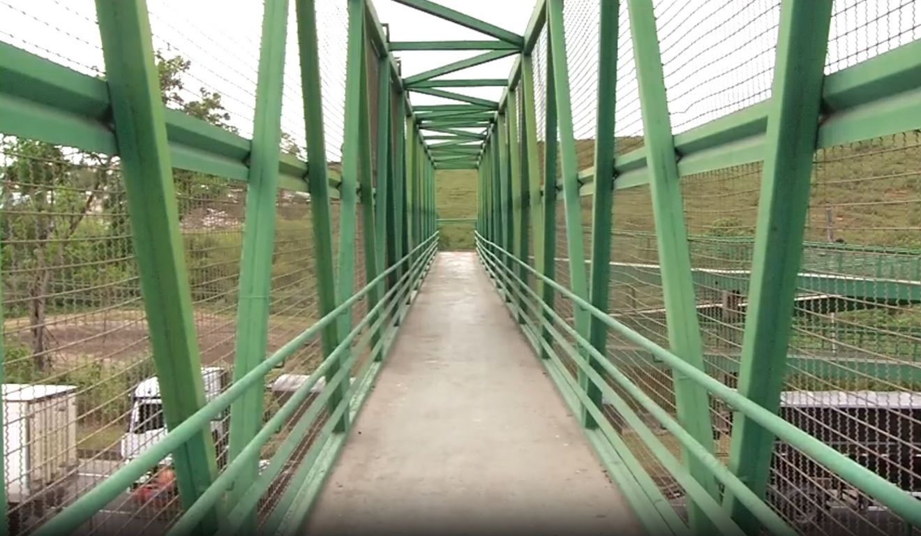 Passarela de Nova Rosa da Penha II. Foto: Reprodução/TV Vitória