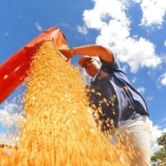 Foto: Prefeitura de Campo Grande/Divulgação