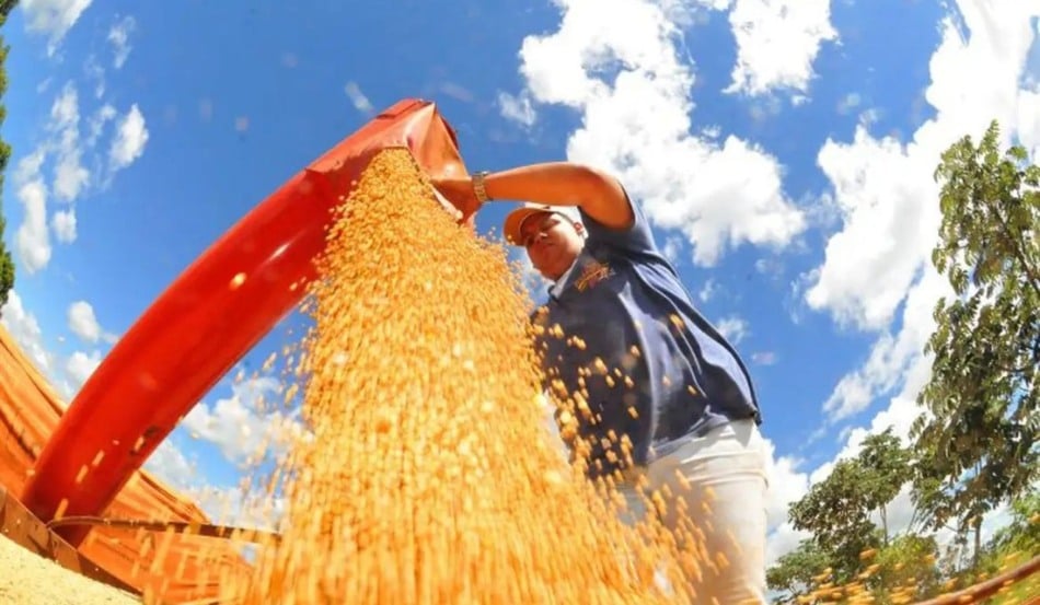Foto: Prefeitura de Campo Grande/Divulgação