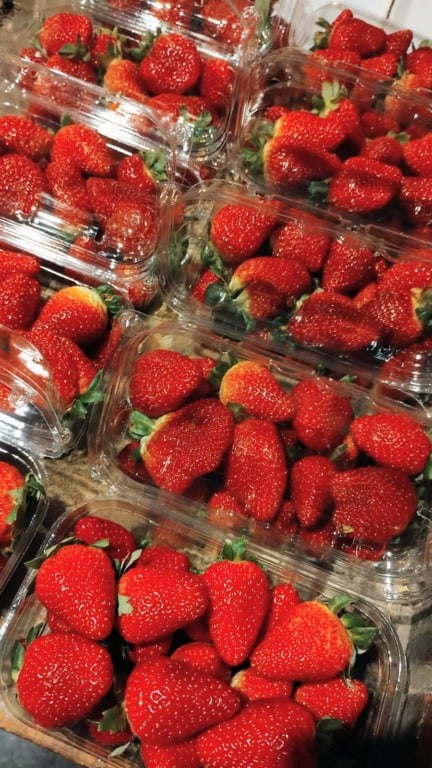 Feira de Sabores em Vitória (Foto/divulgação:Crédito: Adeturi/Acervo)