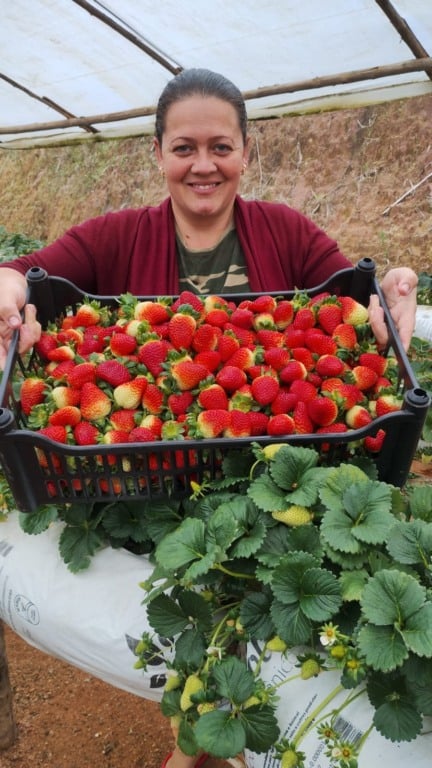 Feira de Sabores em Vitória (Foto/divulgação:Crédito: Adeturi/Acervo)
