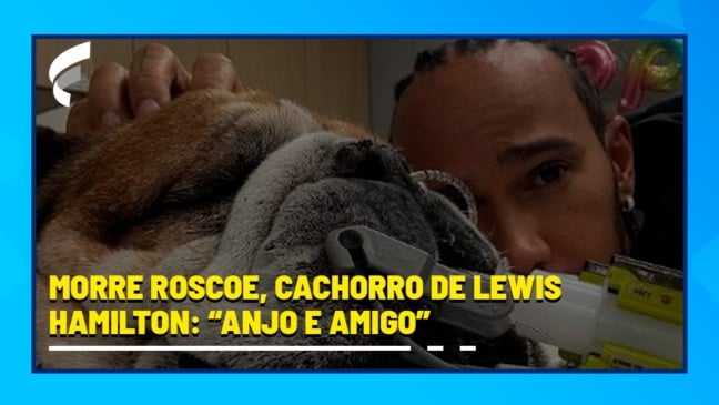 Morre Roscoe, cachorro de Lewis Hamilton: “Anjo e amigo”