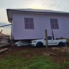 Foto: @mariohildebrand/ Twitter/ Reprodução 