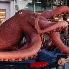 Exposição é gratuita e pode ser visitada durante o funcionamento do Shopping Praia da Costa (Foto: Divulgação)