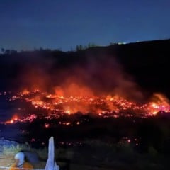 Foto: Iema/ Divulgação