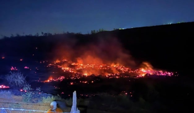 Foto: Iema/ Divulgação
