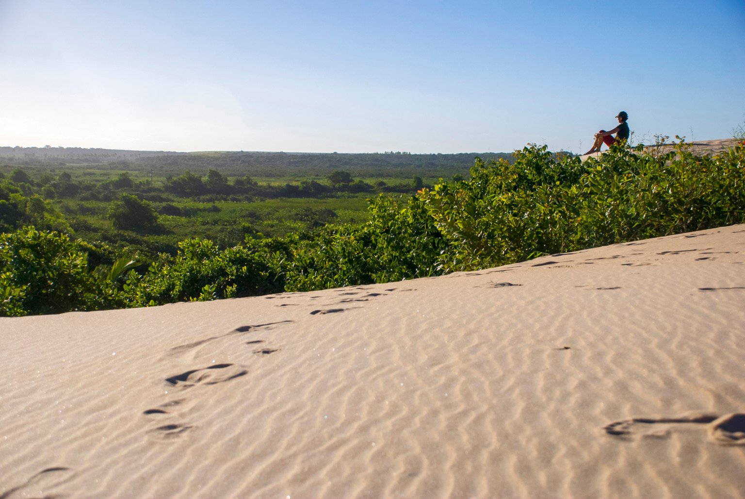 Dunas de Itaúnas (Paisagem) fotografado em Itaúnas, Espírito Santo -  Sudeste do Brasil. Bioma Mata Atlântica. Registro feito em 2009.

ENGLISH: Itaunas dunes photographed in Itaunas, EspIrito Santo - Southeast of Brazil. Atlantic Forest Biome. Picture made in 2009."