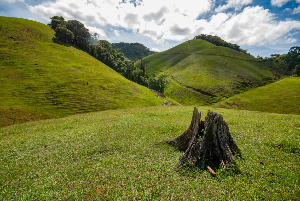 Área desmatada para dar lugar ao pasto. | Foto: Leonardo Merçon / Instituto Últimos Refúgios.
