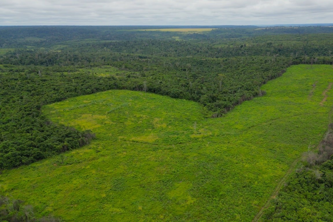 Objetivo da Suzano com o financiamento do BNDES é conectar áreas antes degradadas para, assim, melhorar o meio ambiente de Cerrado, Mata Atlântica e Amazônia. Crédito: Divulgação/Suzano