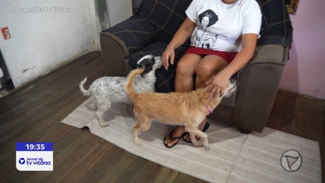 Adoção e castração de animais em pauta na Grande Vitória