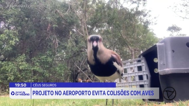 Projeto do aeroporto com animais é premiado internacionalmente