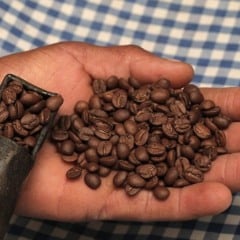 Descartar ou transformar? Como a economia circular transforma resíduos em valor dentro das empresas 