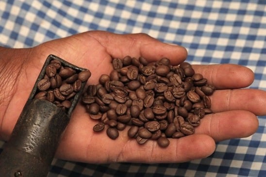 Descartar ou transformar? Como a economia circular transforma resíduos em valor dentro das empresas 