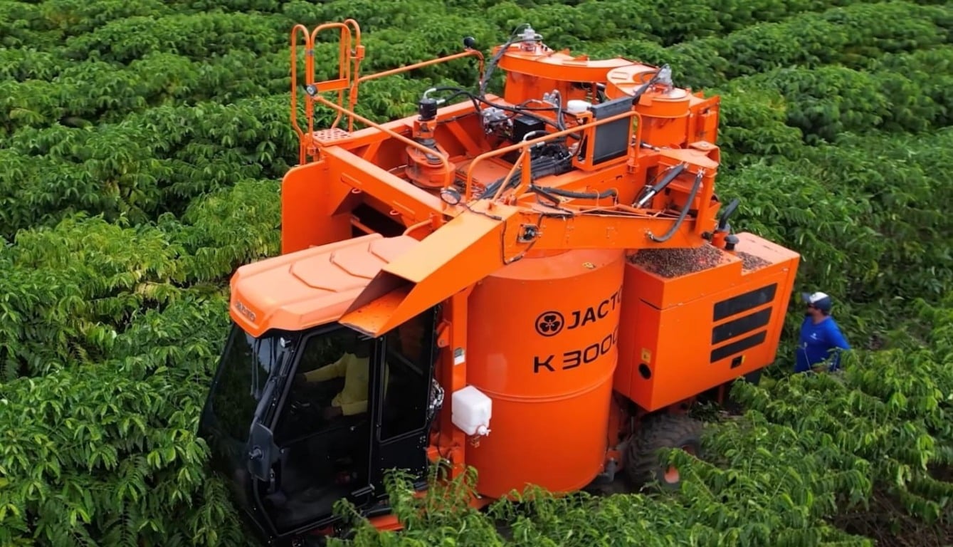 Recorde de mecanização transforma colheita de café conilon no Espírito Santo em 2025